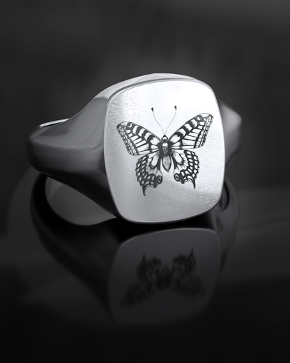 Papilio