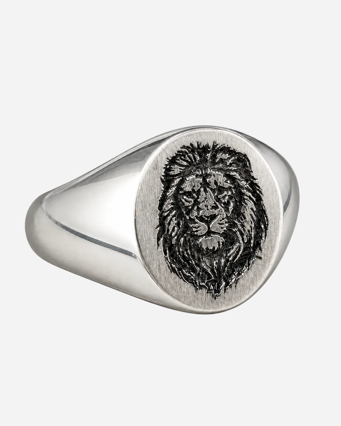 King Of Beasts