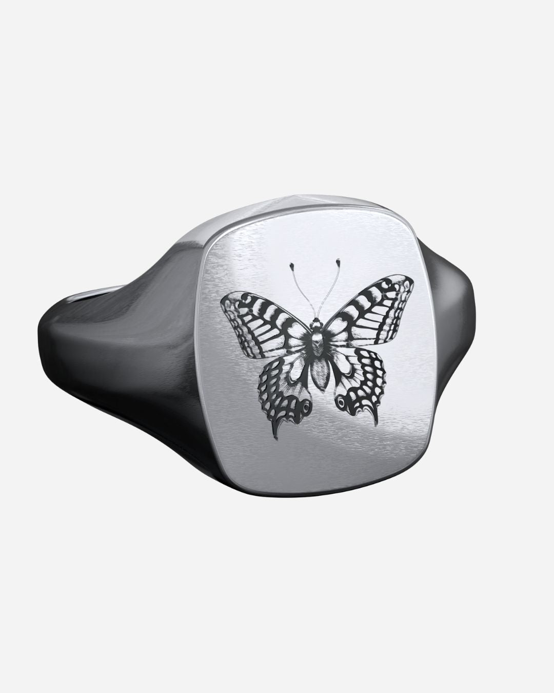 Papilio
