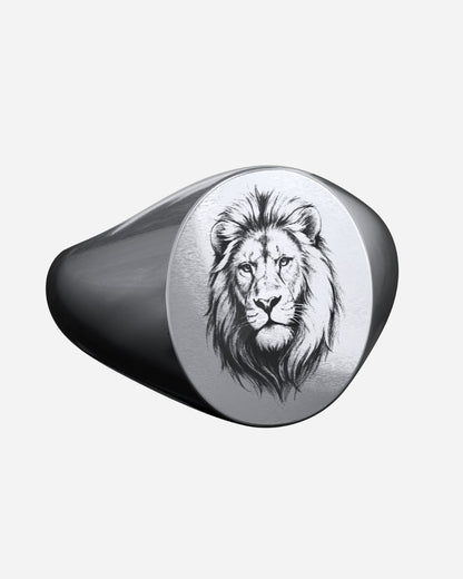 King Of Beasts